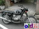 BMW R50 古董車